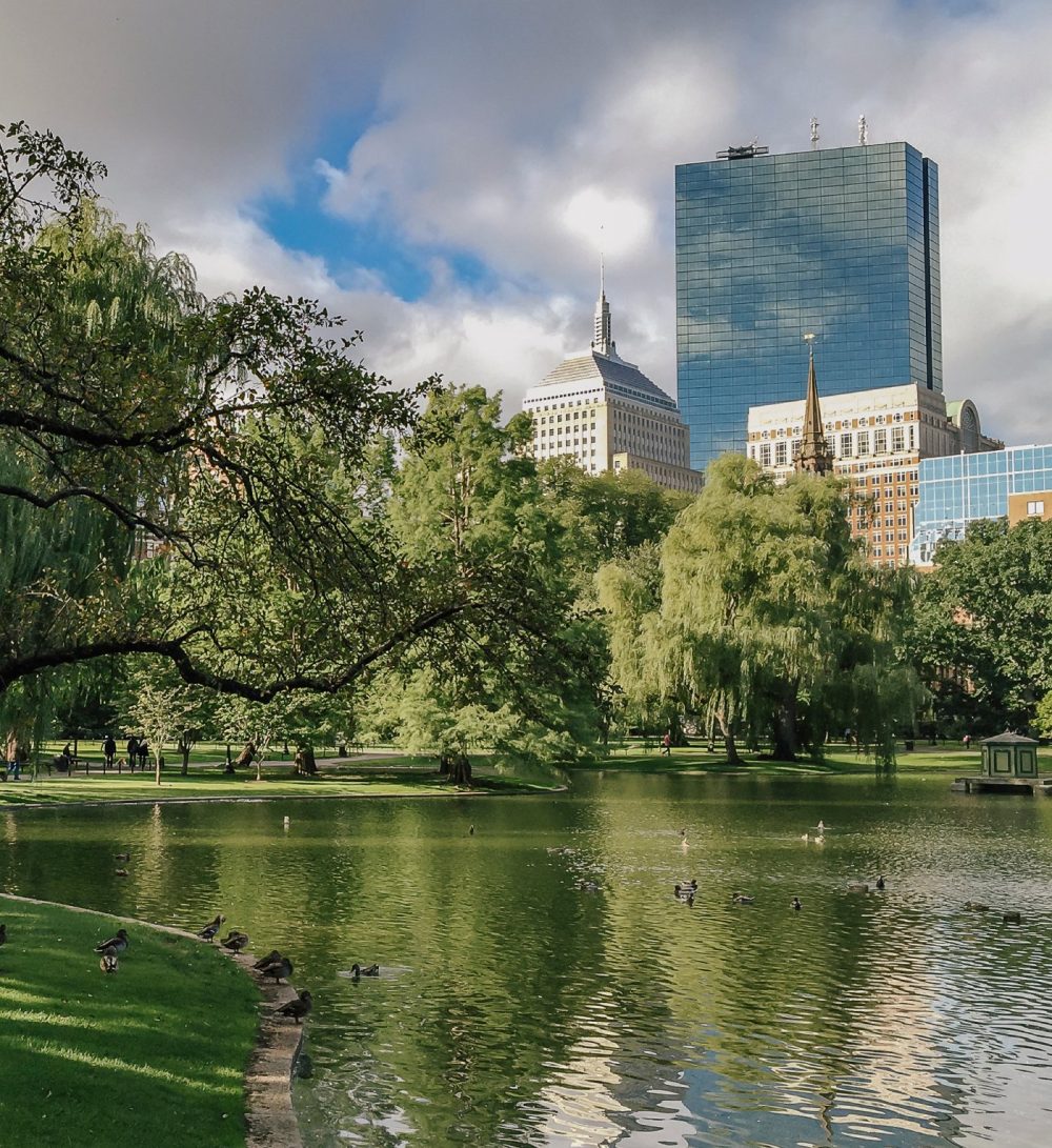 Early fall at Boston Public Garden pond