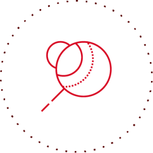 Research_Red