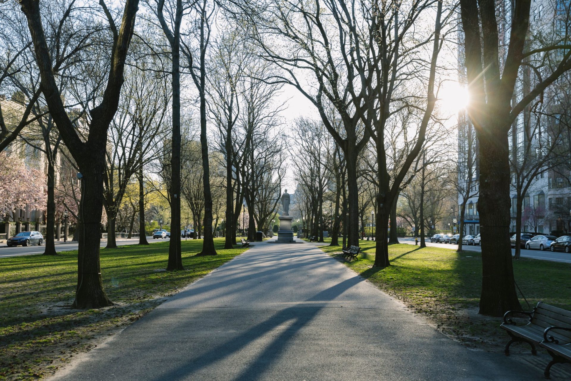Pathway in the park.